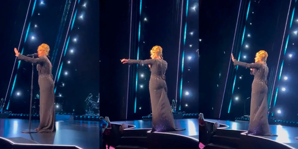 Watch Adele Interrupts Show To Protect Fan From Security Hitz 939