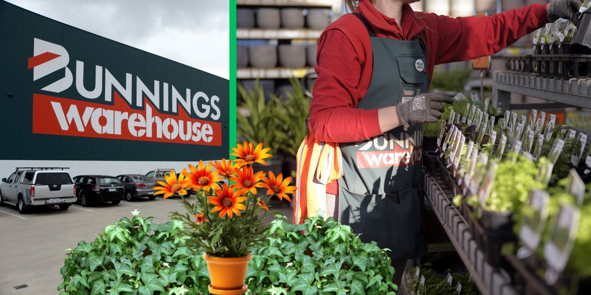 Bunnings Criticised for Selling Invasive Plants Hitz 939