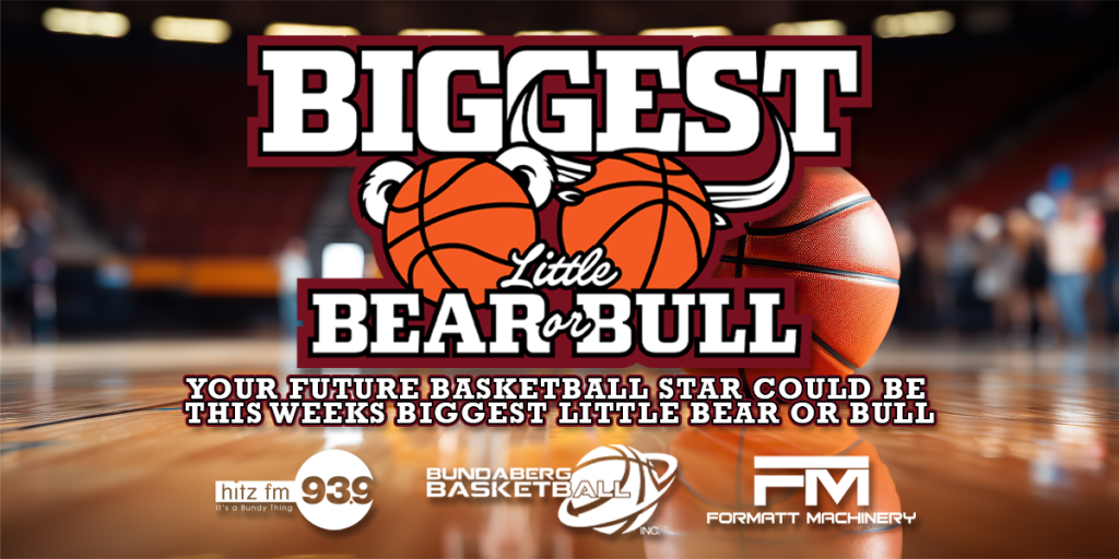 Biggest Little Bear or Bull