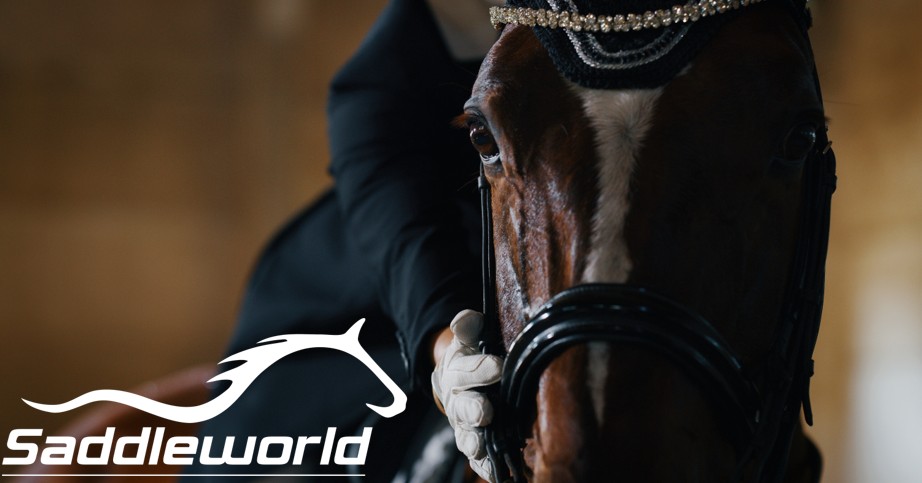 Saddleworld Bundaberg